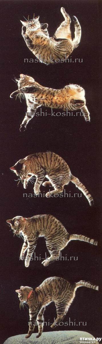 ���� 4: ��� �������� �����