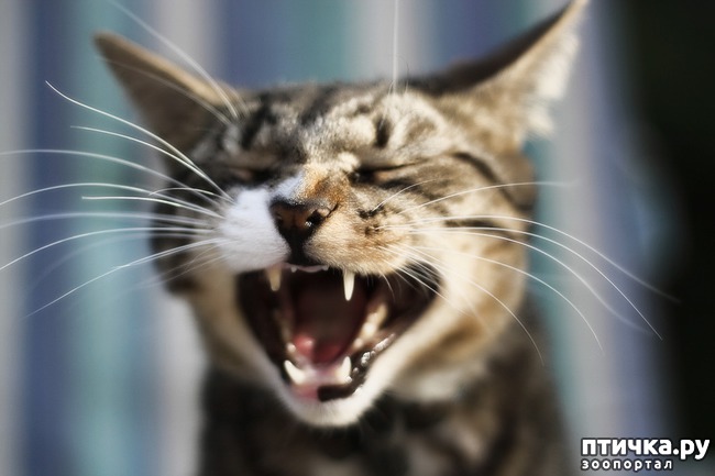 ���� 6: ��� �������� �����