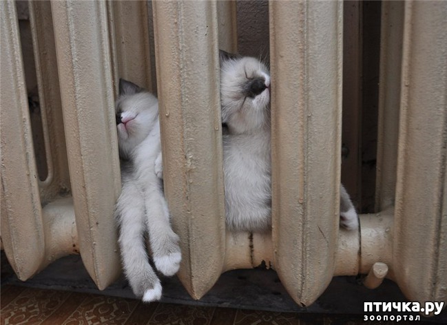 ���� 8: ��� �������� �����