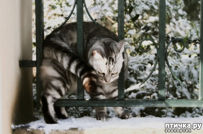 ���� 9: ��� �������� �����