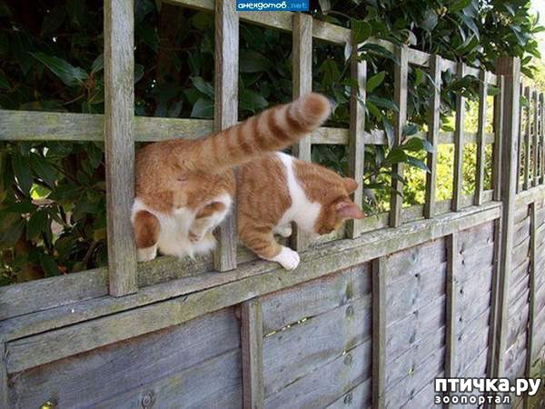 ���� 10: ��� �������� �����