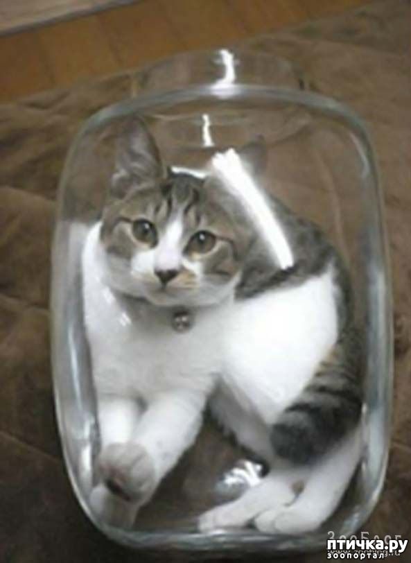 ���� 11: ��� �������� �����