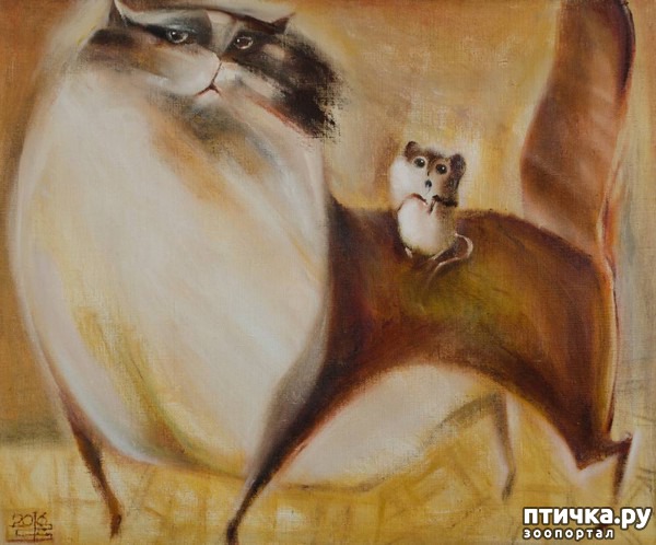 ���� 13: ����� � ���� ��������� ��������� ��������