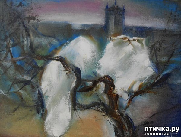 ���� 11: ����� � ���� ��������� ��������� ��������