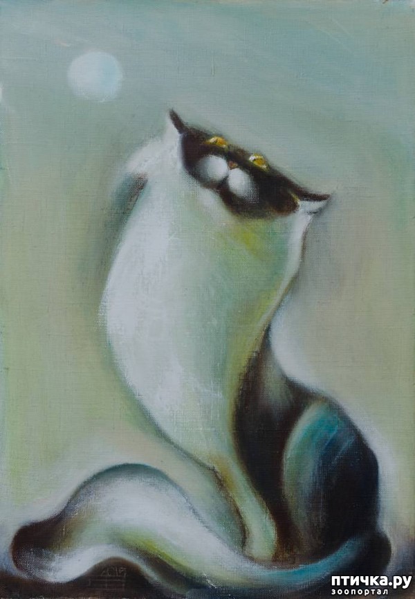 ���� 9: ����� � ���� ��������� ��������� ��������