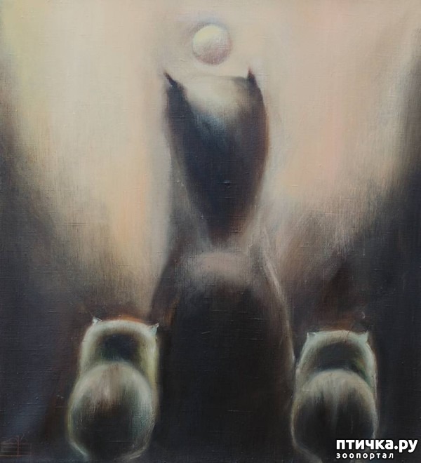 ���� 7: ����� � ���� ��������� ��������� ��������