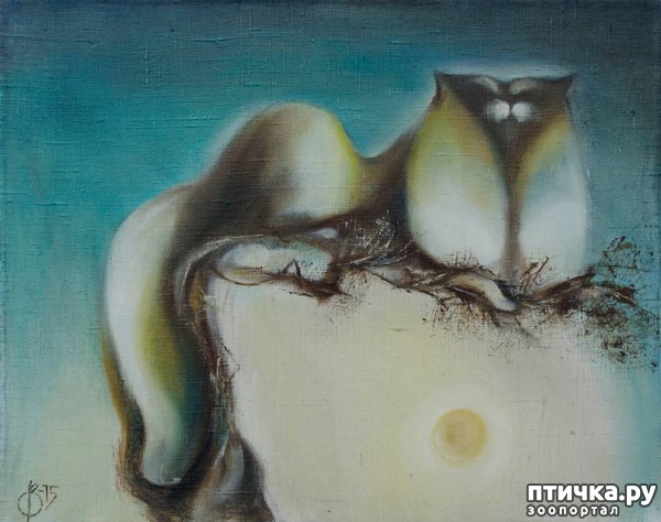 ���� 6: ����� � ���� ��������� ��������� ��������