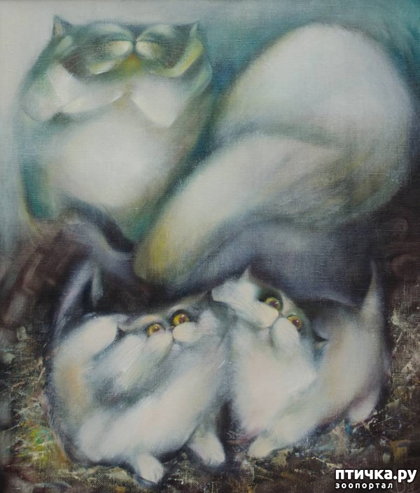 ���� 5: ����� � ���� ��������� ��������� ��������