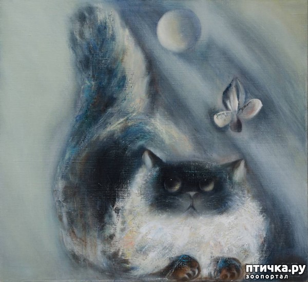 ���� 2: ����� � ���� ��������� ��������� ��������