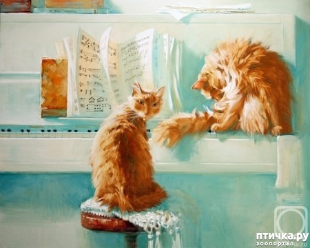 ���� 13: ���� ����� ��������