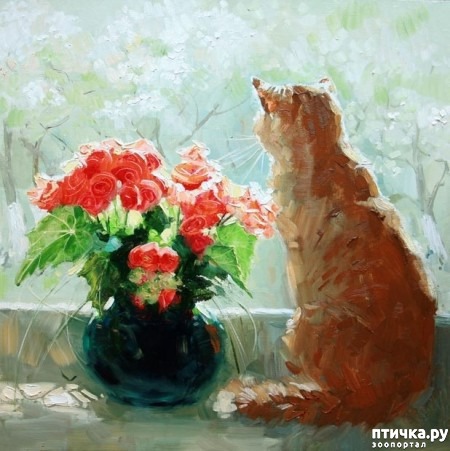 ���� 16: ���� ����� ��������