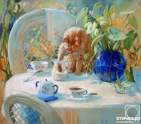 ���� 1: ���� ����� ��������