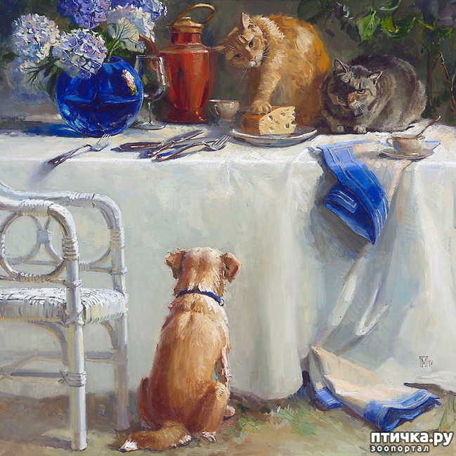 ���� 8: ���� ����� ��������