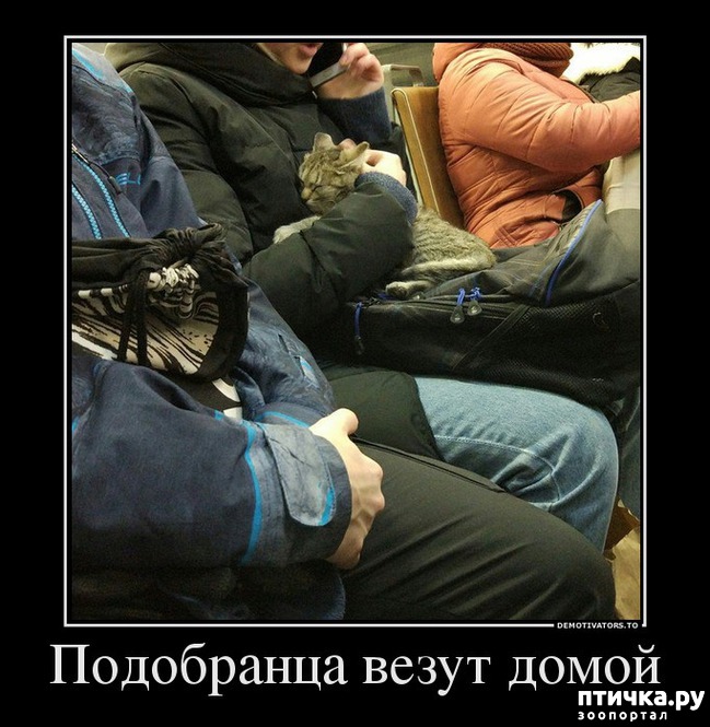 ���� 7: ����������... ����������... �����)))