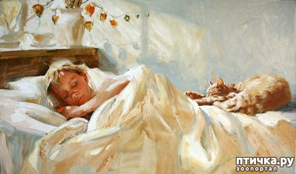 ���� 5: ���� ����� ��������