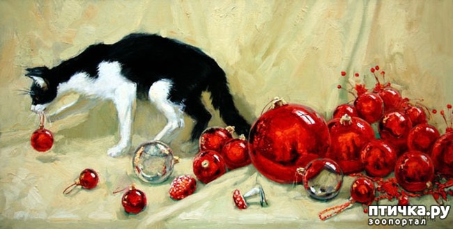 ���� 2: ���� ����� ��������