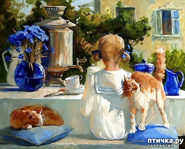 ���� 3: ���� ����� ��������