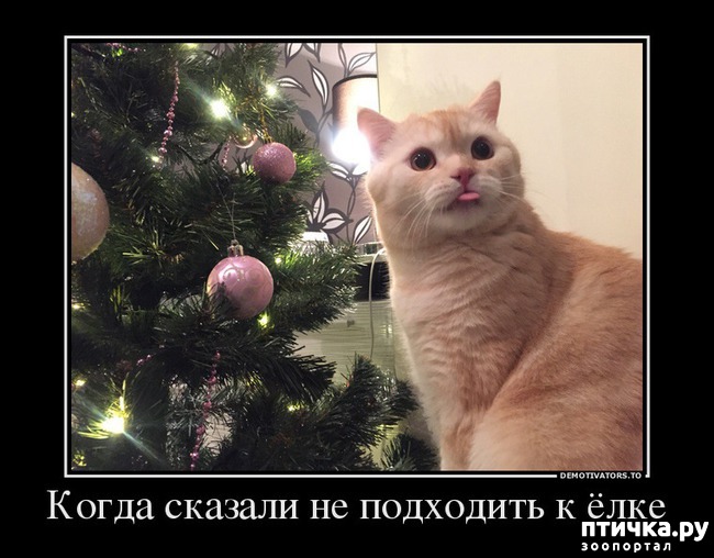 ���� 3: ����������... ����������... �����)))