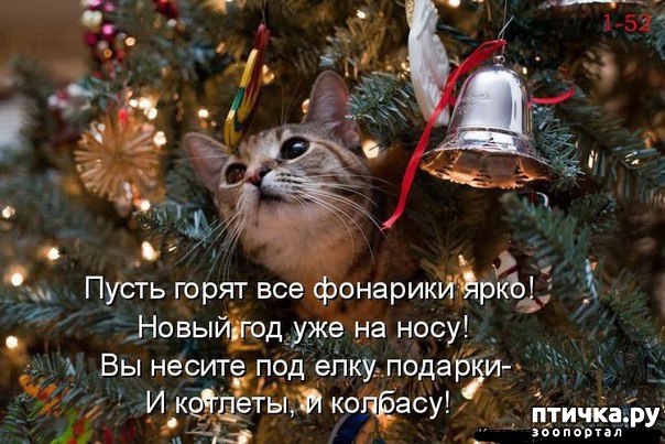 ���� 5: ����������... ����������... �����)))