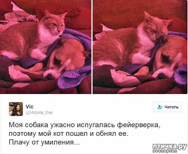 ���� 6: ����������... ����������... �����)))