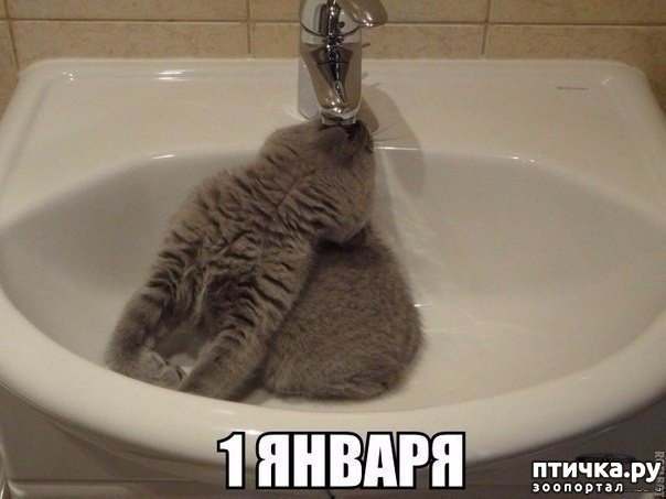 ���� 8: ����������... ����������... �����)))