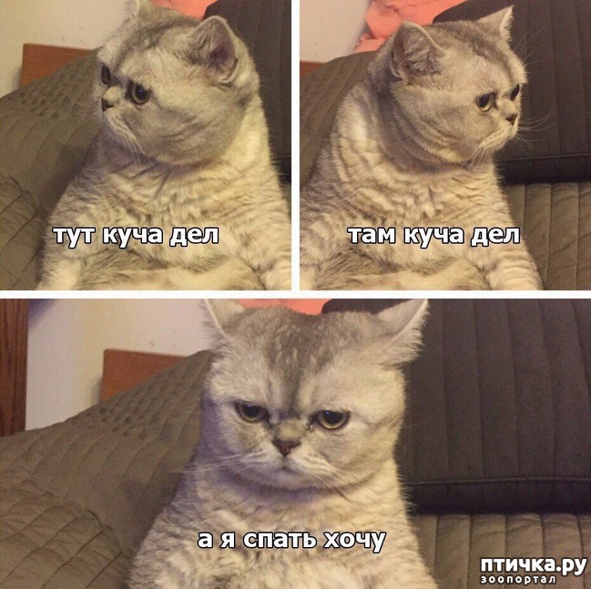 ���� 9: ����������... ����������... �����)))