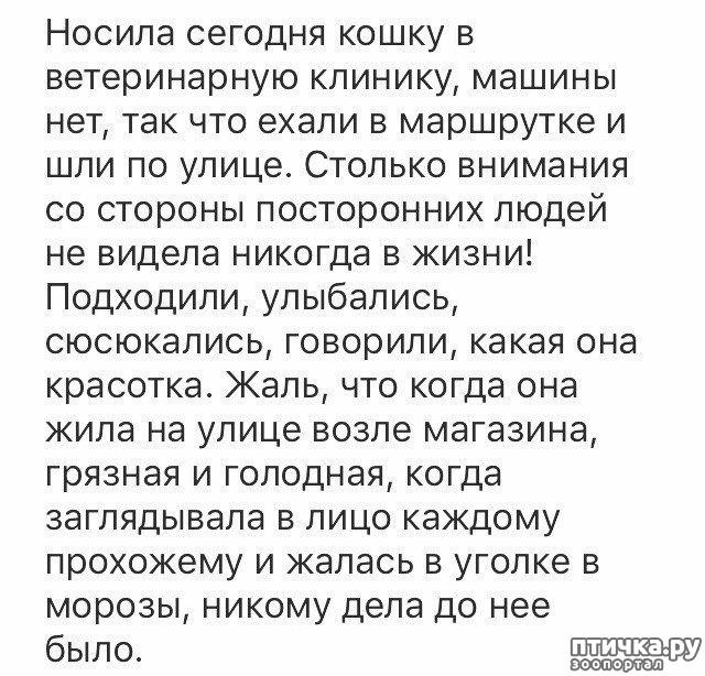 ���� 11: ����������... ����������... �����)))