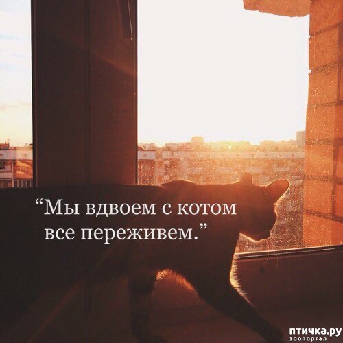 ���� 12: ����������... ����������... �����)))