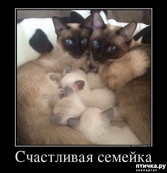 ���� 13: ����������... ����������... �����)))