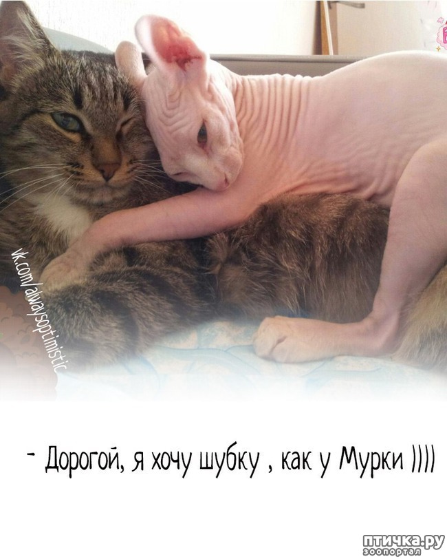 ���� 14: ����������... ����������... �����)))