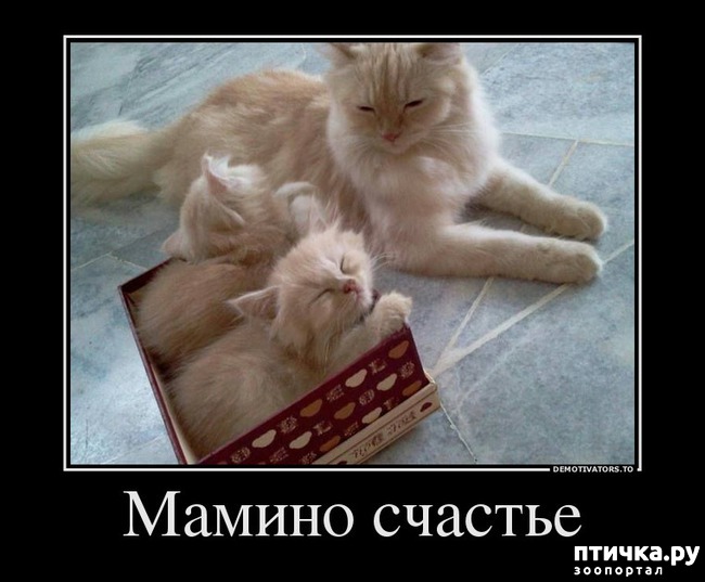 ���� 15: ����������... ����������... �����)))