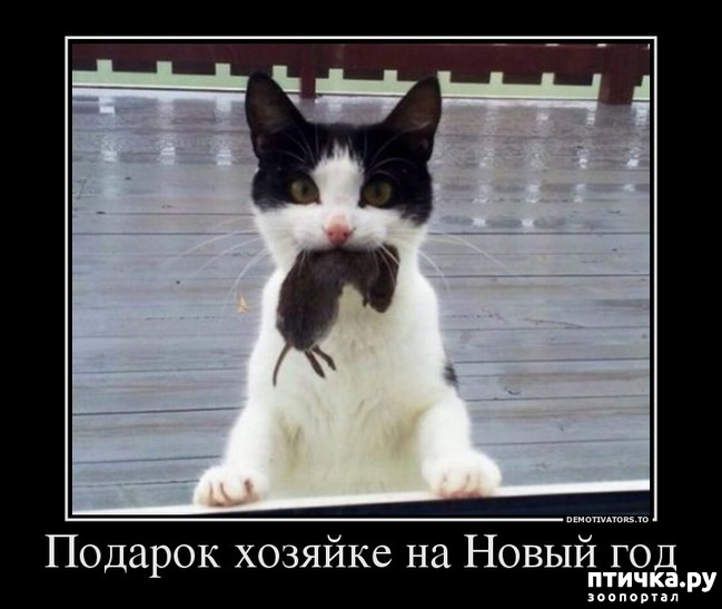 ���� 16: ����������... ����������... �����)))