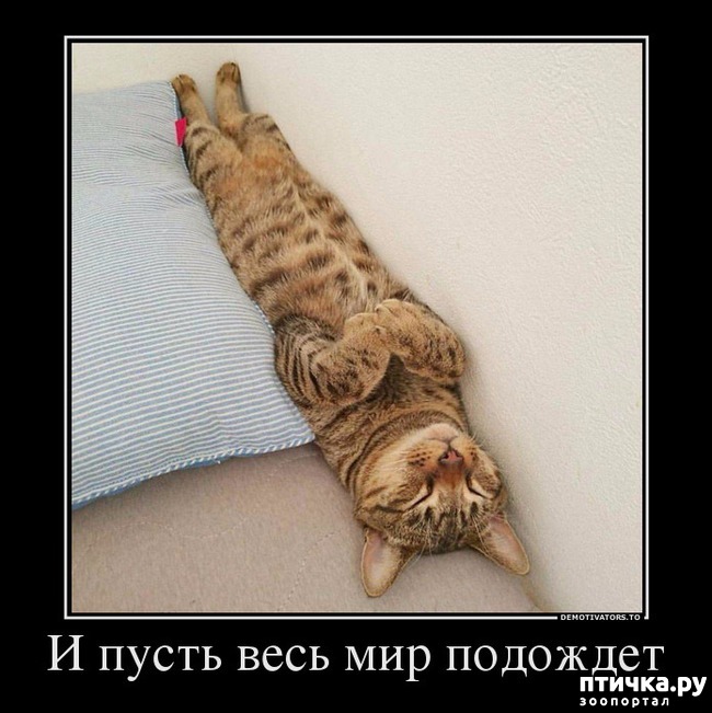 ���� 17: ����������... ����������... �����)))