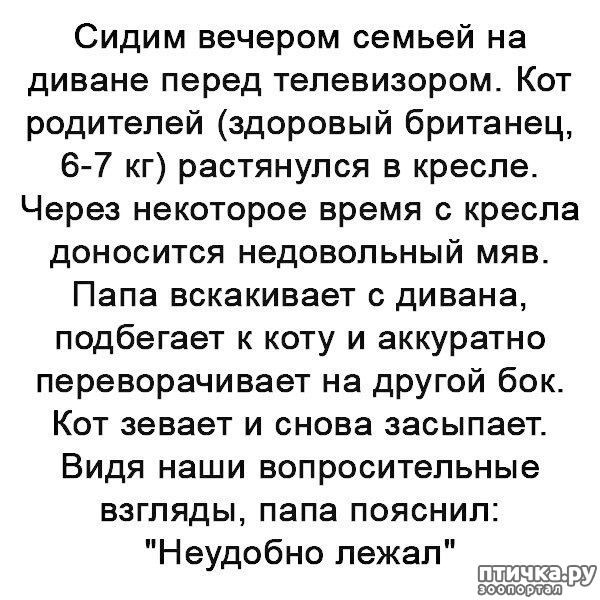 ���� 19: ����������... ����������... �����)))