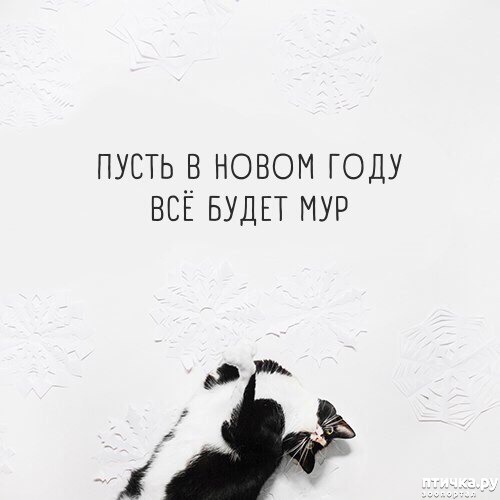 ���� 4: ����������... ����������... �����)))