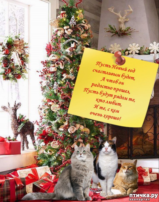 ���� 1: ����������... ����������... �����)))