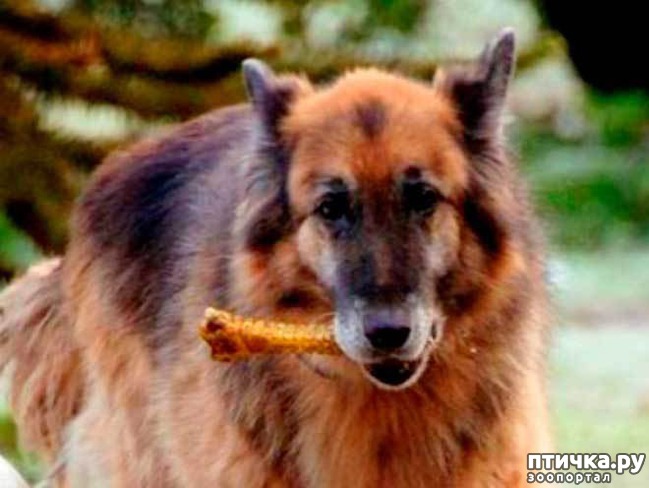 ���� 2: �������� ������ ������ ������������ ���