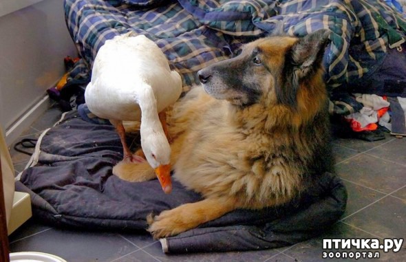 ���� 3: �������� ������ ������ ������������ ���