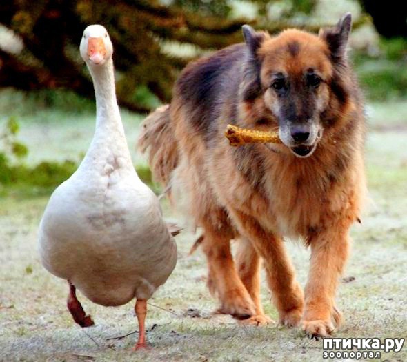 ���� 6: �������� ������ ������ ������������ ���