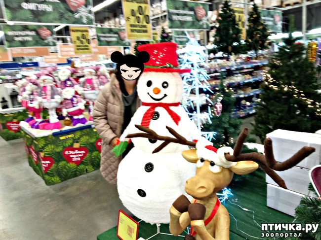 ���� 4: ���� � ������� ����� 1