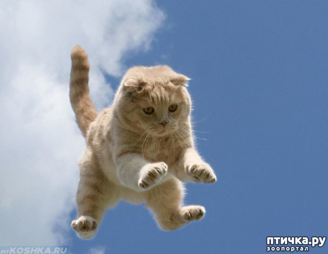 ���� 1: ��� �������� �����