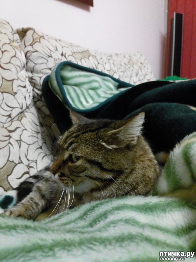 ���� 1: ����� ������.