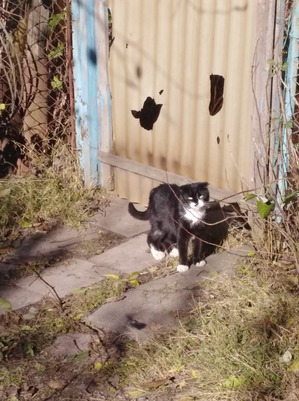 ����: ����� - ����� ���� �� ����