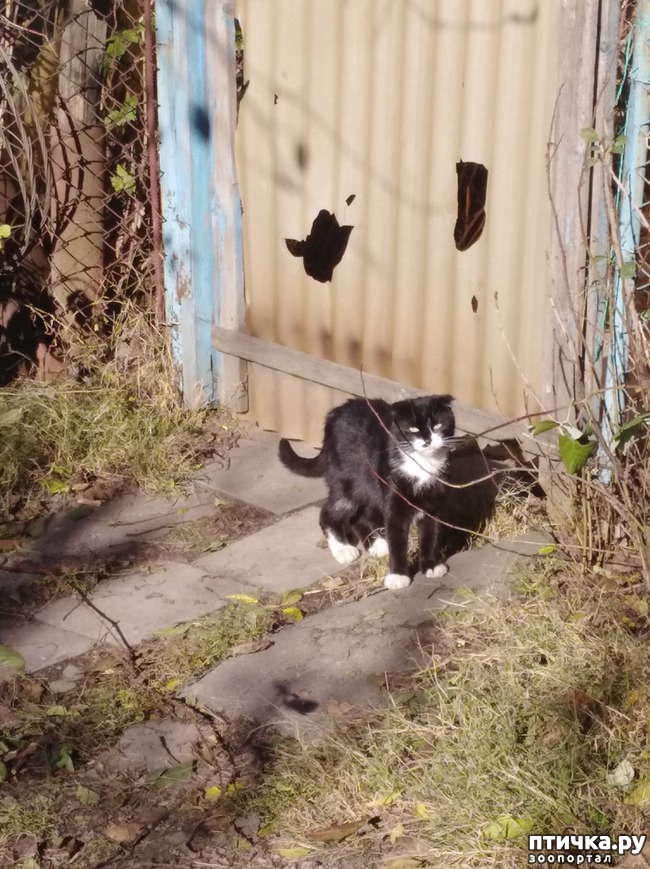 ���� 1: ����� - ����� ���� �� ����