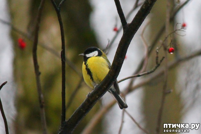 ���� 2: ������� �������� ��������.