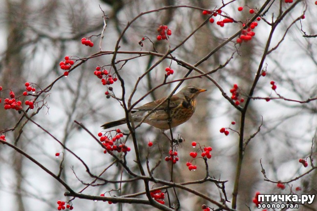 ���� 3: ������� �������� ��������.