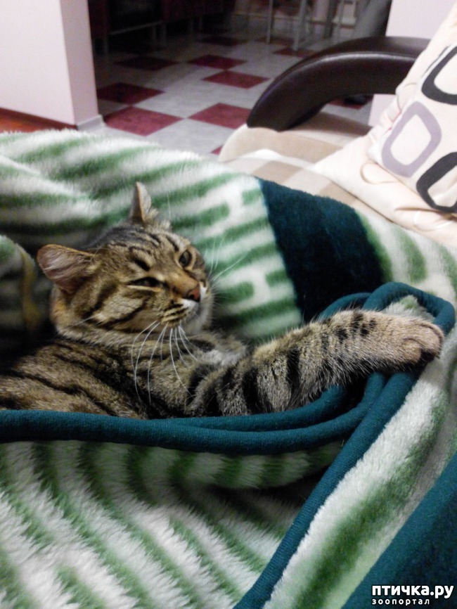 ���� 2: ����� ������.