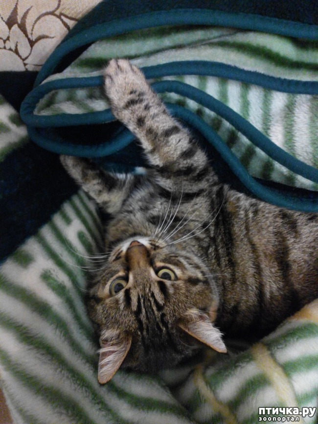 ���� 3: ����� ������.