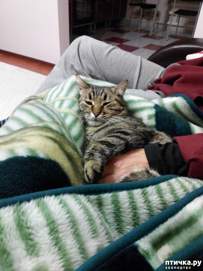 ���� 4: ����� ������.