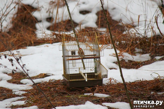 ���� 4: ������� �������� ��������.